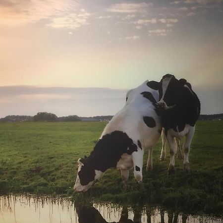 Amsterdam Countryside Met Airco ,Geweldig Uitzicht, Luxe Keuken,Wasmachine,Droger,Gratis Fietsen Apartamento Den Ilp Exterior foto