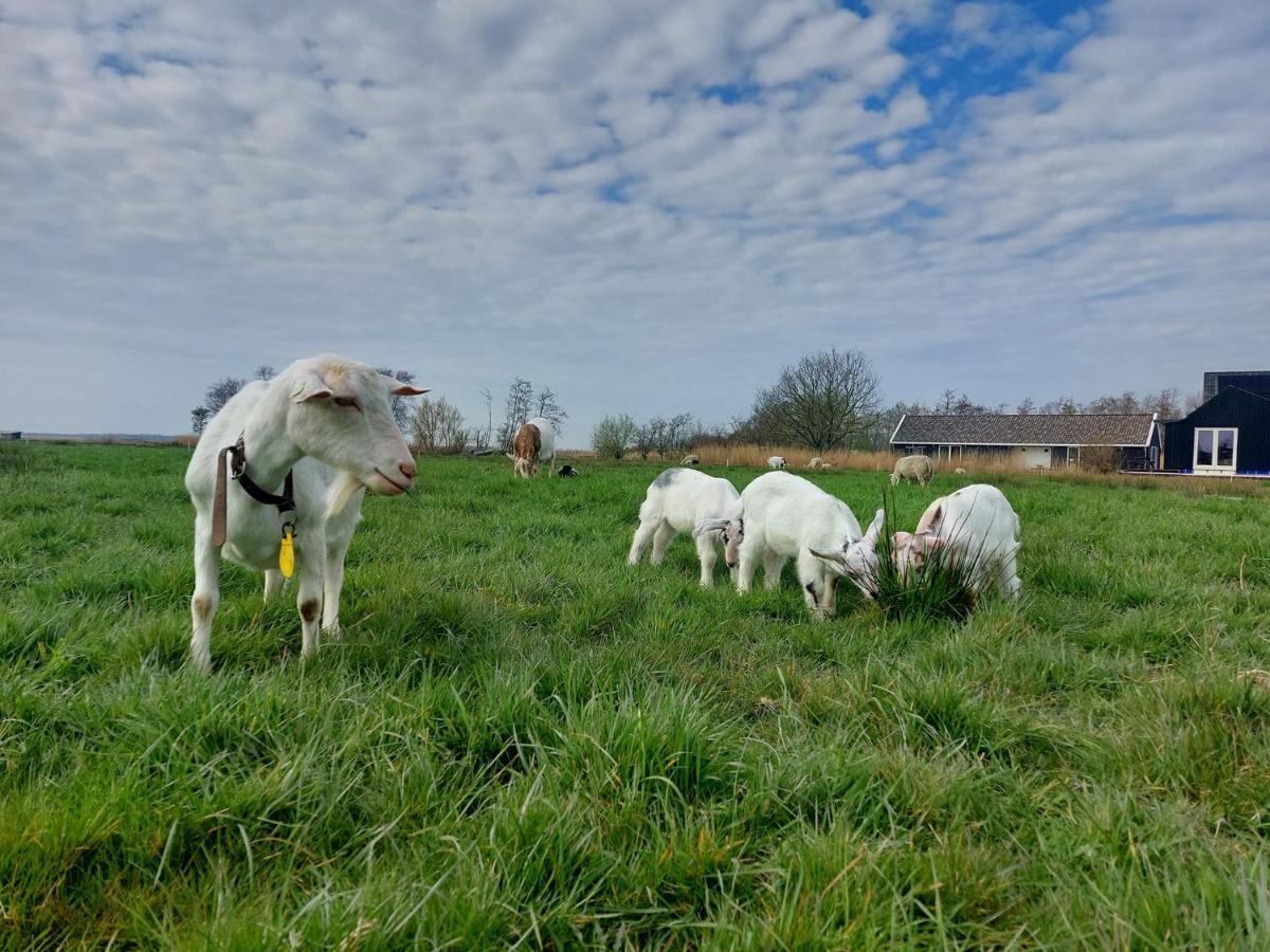 Amsterdam Countryside Met Airco ,Geweldig Uitzicht, Luxe Keuken,Wasmachine,Droger,Gratis Fietsen Apartamento Den Ilp Exterior foto