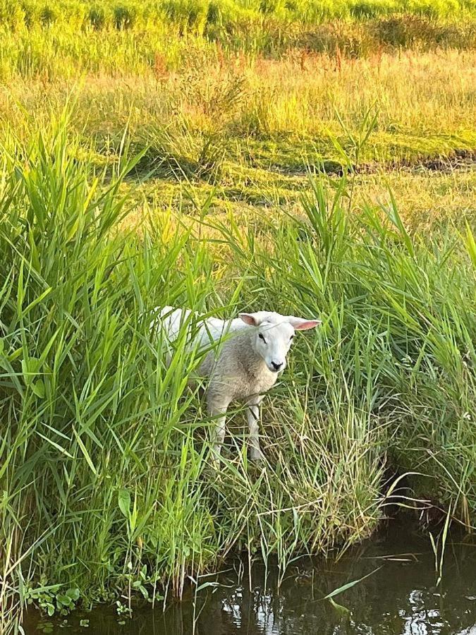 Amsterdam Countryside Met Airco ,Geweldig Uitzicht, Luxe Keuken,Wasmachine,Droger,Gratis Fietsen Apartamento Den Ilp Exterior foto