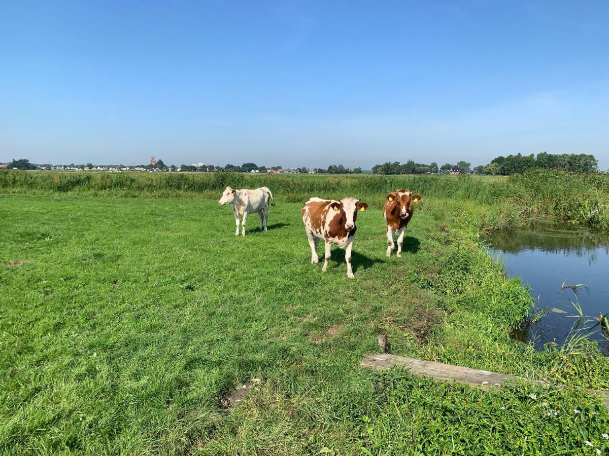 Amsterdam Countryside Met Airco ,Geweldig Uitzicht, Luxe Keuken,Wasmachine,Droger,Gratis Fietsen Apartamento Den Ilp Exterior foto